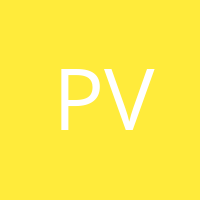 Paula andrea Vega Vega